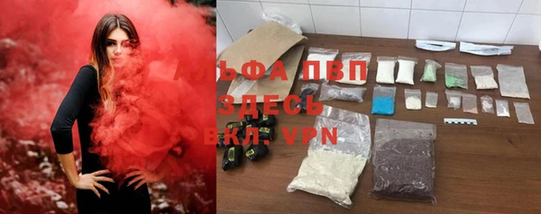 молекула духа Козельск