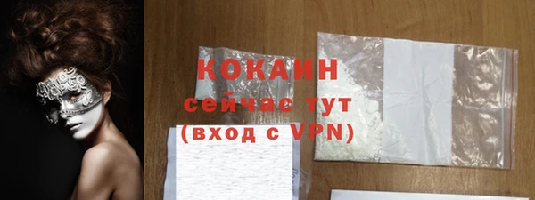 молекула духа Козельск