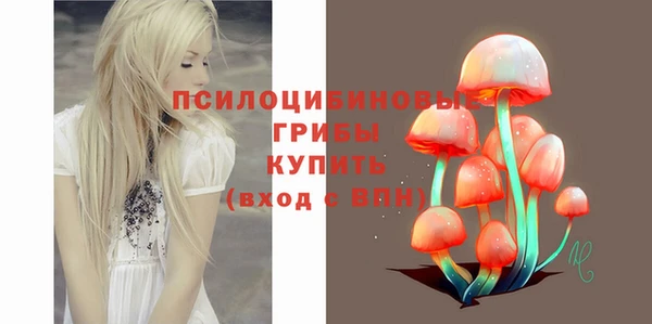 первитин Коряжма