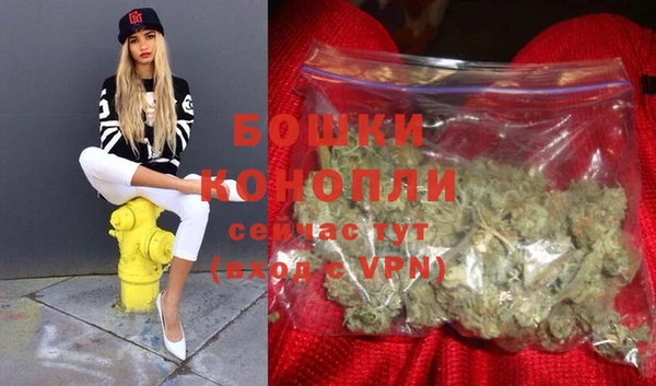 молекула духа Козельск