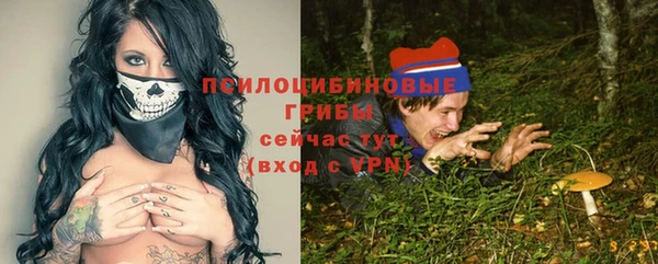 ECSTASY Козловка