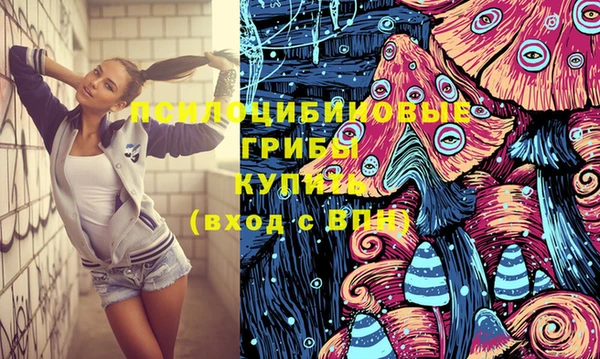молекула духа Козельск