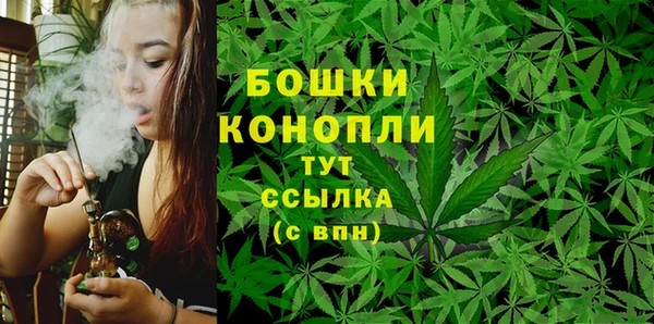 ECSTASY Козловка