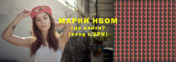 молекула духа Козельск