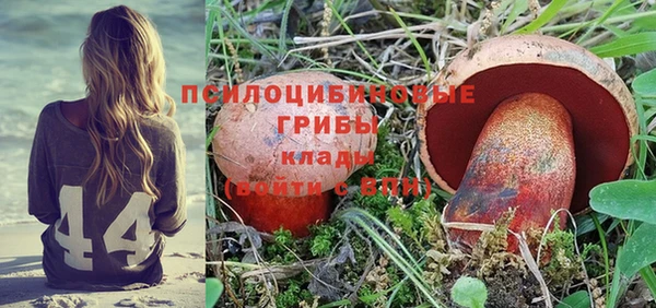 ECSTASY Козловка