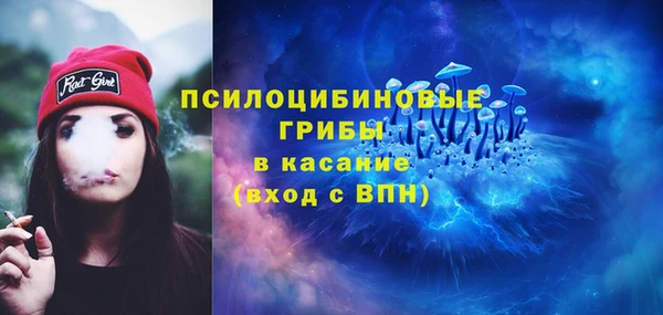 молекула духа Козельск